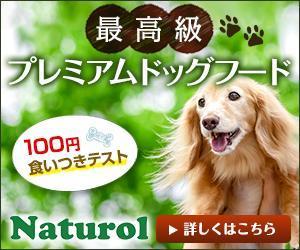 masa (c0408)さんの【急募！】ペットフードLP用 バナー作成のお仕事への提案