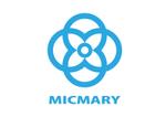 THREEWHEELS (threewheels)さんの国際展開を目指す地下水を探査する会社「MICMARY株式会社」のロゴのデザインへの提案