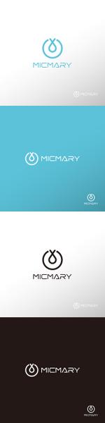 doremi (doremidesign)さんの国際展開を目指す地下水を探査する会社「MICMARY株式会社」のロゴのデザインへの提案
