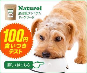 engShowさんの【急募！】ペットフードLP用 バナー作成のお仕事への提案