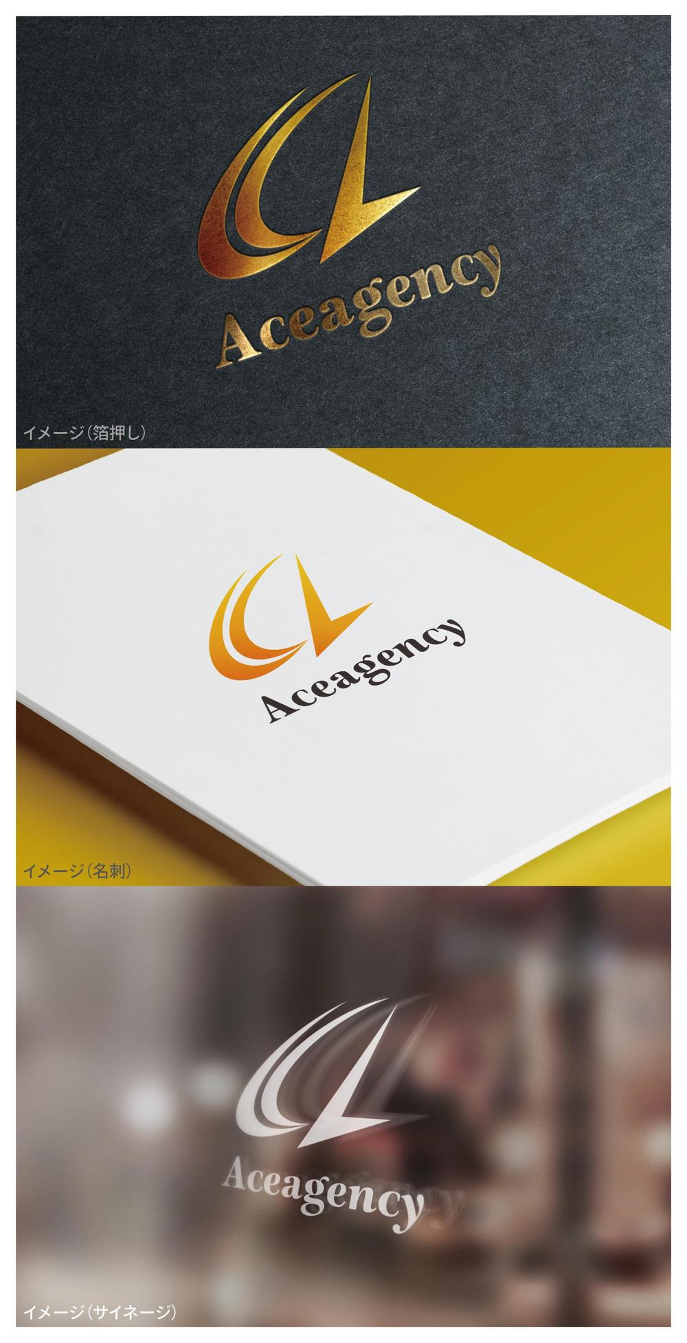 Aceagency_logo01_01.jpg