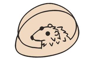 蓬莱 (chiyohourai)さんのアプローズカフェのキャラクター募集 ！への提案