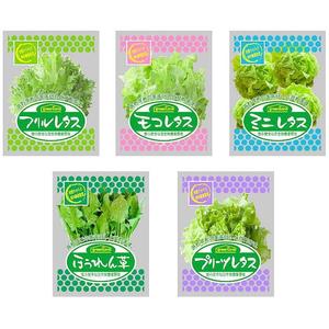 saiga 005 (saiga005)さんの安心安全「植物工場野菜」各種のパッケージデザインへの提案