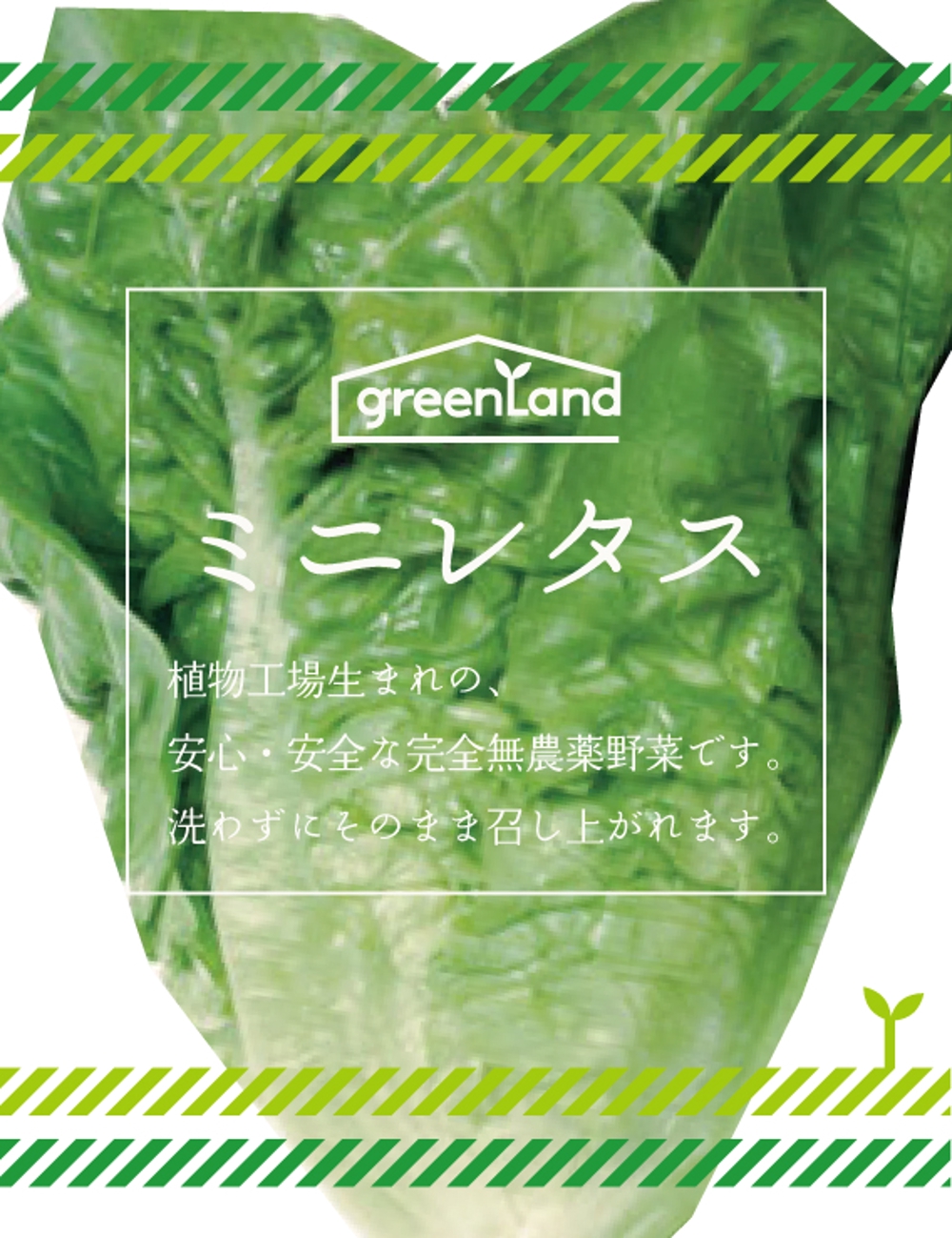 greenLand01_03.jpg