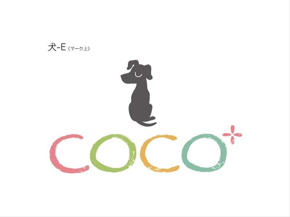 coco+_9.jpg