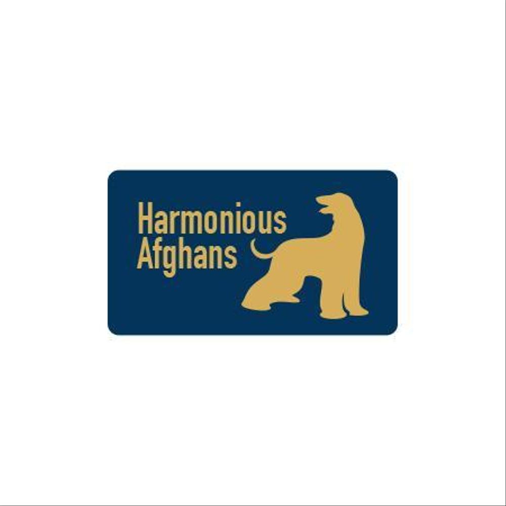 Harmonious Afghans 7.jpg