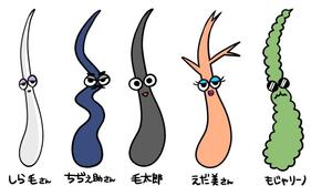 ミウラ (miura03)さんの「毛」のキャラクター制作　（商品化予定）への提案