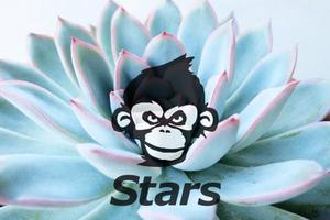 queuecat (queuecat)さんの多肉植物専門店「Stars」のロゴをお願いします！（商標登録予定なし）への提案