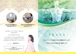 稲川　典章 (incloud)さんの健康ケア"Medi-PRANA サロン"のパンフレットへの提案