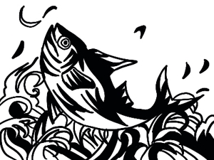 Ken (lottemarines3)さんの魚のシルエット絵・トライバル柄のイラスト制作・デザインへの提案