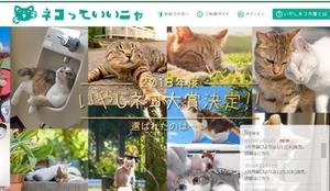 queuecat (queuecat)さんの可愛いねこの写真・動画投稿サイトのロゴ作成への提案