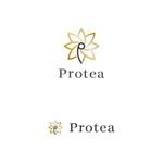 仲藤猛 (dot-impact)さんの法人企業「Protea」のロゴへの提案
