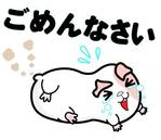 kinoto ()さんのゆるくかわいい動物のLINEスタンプ作成への提案