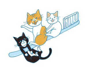 塚本 佳子 (kota_ro)さんの猫のキャラクターデザインへの提案