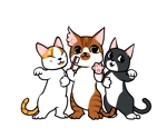 nako (nako_watashinohitujichan1)さんの猫のキャラクターデザインへの提案