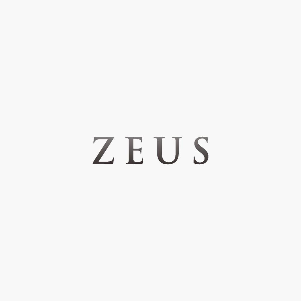 zeus2-3.jpg