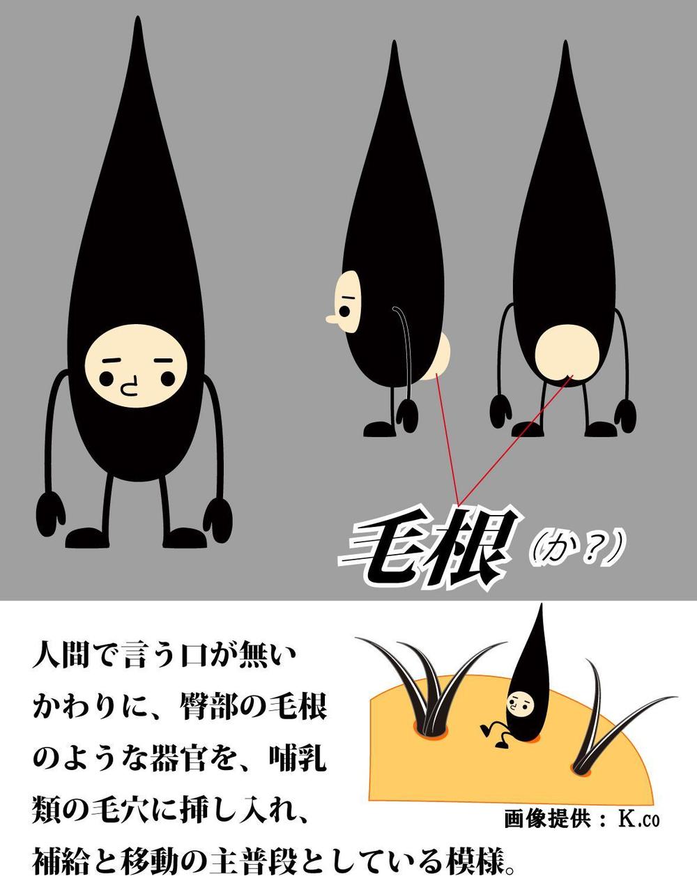 「毛」のキャラクター制作　（商品化予定）