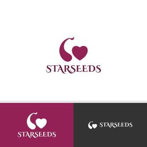 viracochaabin ()さんの新会社「STARSEEDS」のロゴ制作への提案