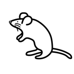 sakki (sakki1201)さんの2020年干支（子）のイラスト依頼【動物】【ねずみ】【和風】への提案