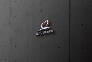 sumiyochi (sumiyochi)さんの新会社「STARSEEDS」のロゴ制作への提案