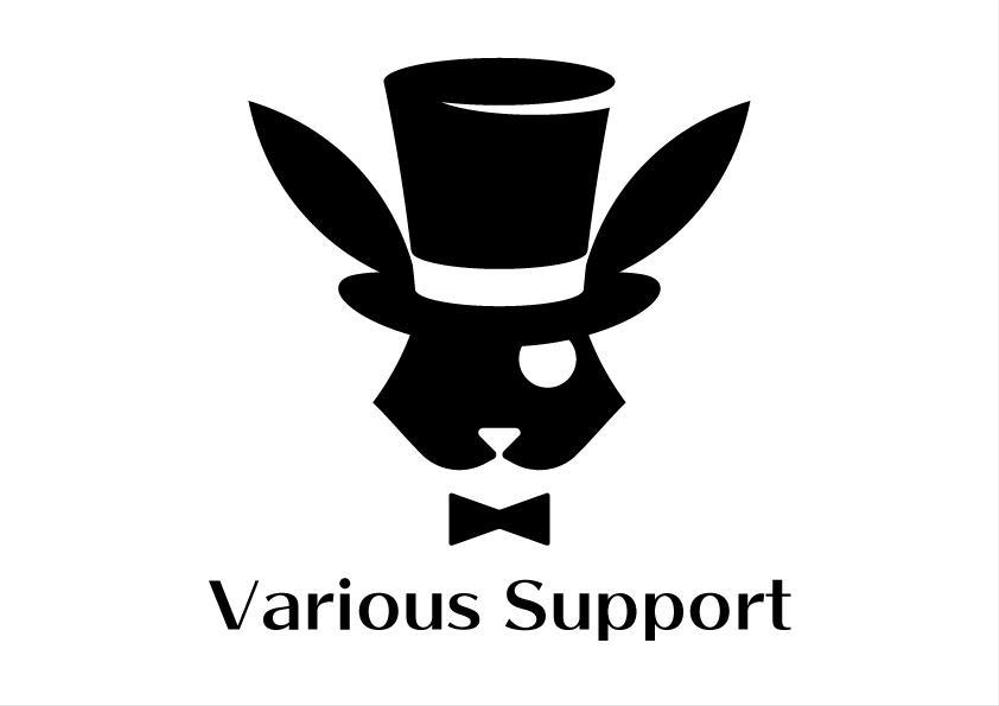 varioussupport04.jpg