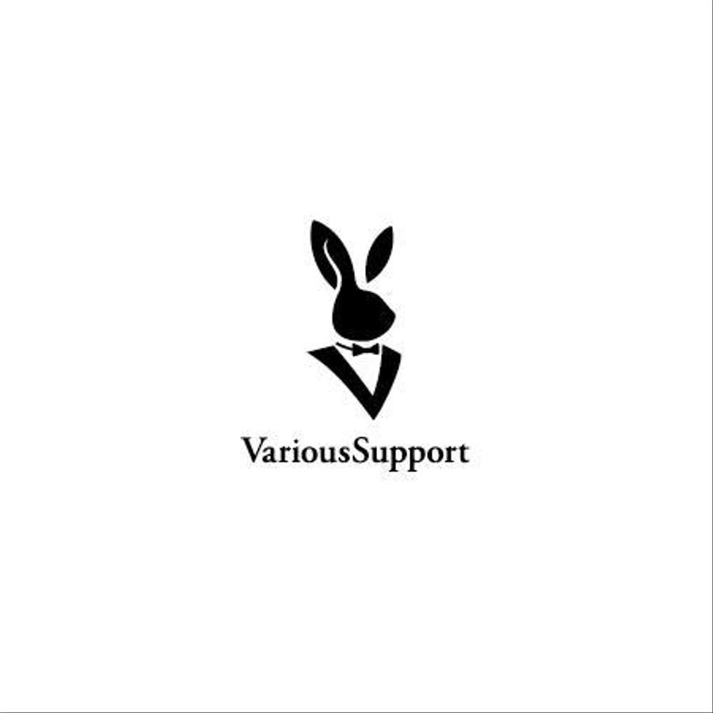 varioussupport_1a.jpg