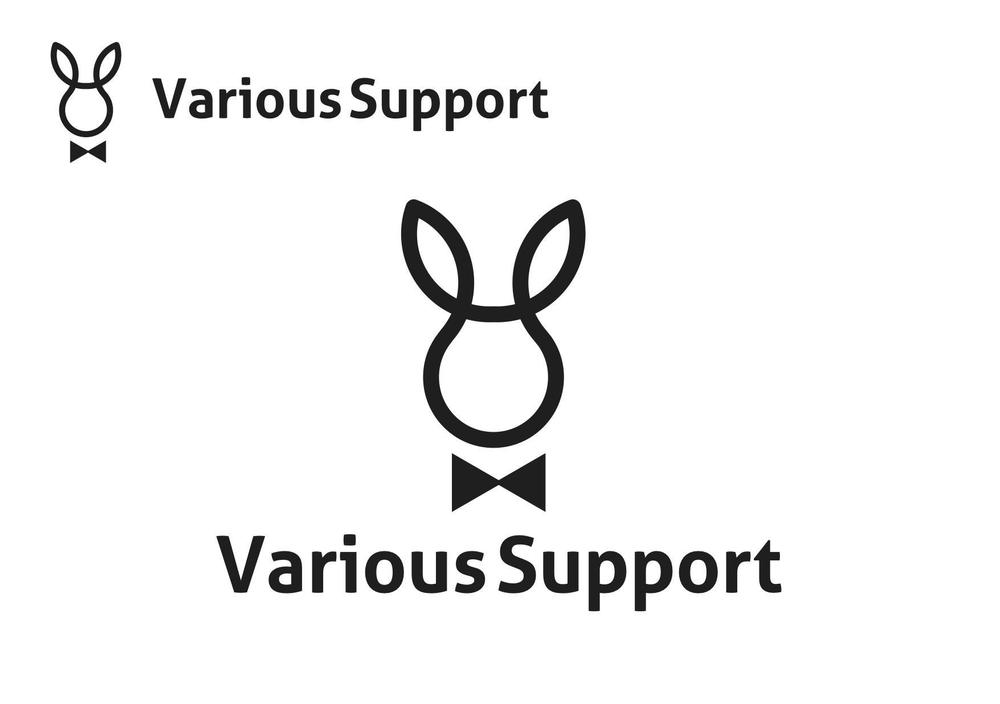 VariousSupport .jpg