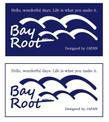 bay root3.jpg