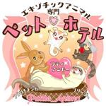 とろりんまま (tororin-mama)さんのフェレット、コモンマーモセット、フクロモモンガ、ウサギのペットホテルのキャラクターデザイン作成への提案