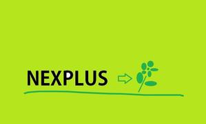 Stellaさんの「NEXPLUS」のロゴ作成への提案