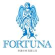 FORTUNA logoA.jpg