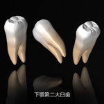 naomi (Ts-naomi)さんの歯のリアル画像の作成への提案