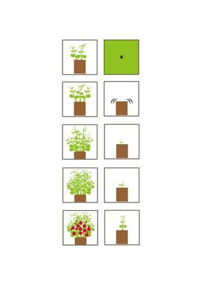 さんのキャンペーン用の植物型アイコン制作への提案