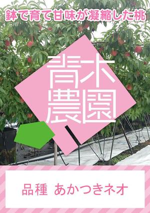mei (meidesign)さんの桃2個パックのラベルデザインへの提案