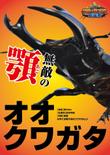 27-オオクワガタ.jpg