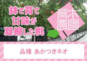 mei (meidesign)さんの桃2個パックのラベルデザインへの提案