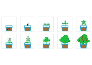 iDw (idw_)さんのキャンペーン用の植物型アイコン制作への提案