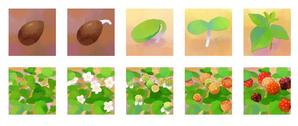 haruame_03さんのキャンペーン用の植物型アイコン制作への提案