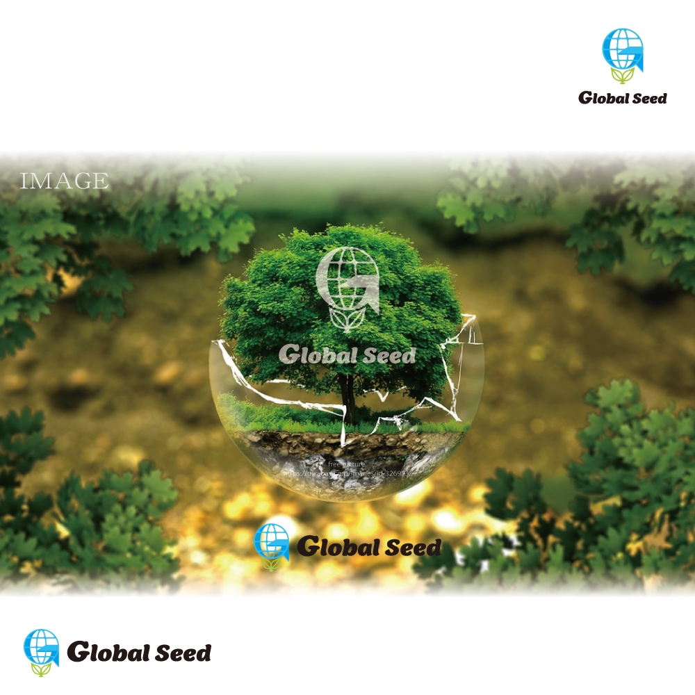 新会社「Global Seed」のロゴ制作