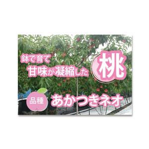W_design. (wakapon1987)さんの桃2個パックのラベルデザインへの提案