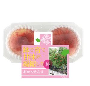 Design co.que (coque0033)さんの桃2個パックのラベルデザインへの提案