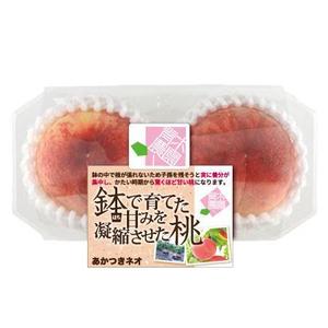 82910001 (82910001)さんの桃2個パックのラベルデザインへの提案
