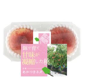 Design co.que (coque0033)さんの桃2個パックのラベルデザインへの提案