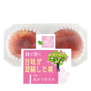 Design co.que (coque0033)さんの桃2個パックのラベルデザインへの提案