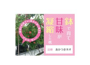 堀之内  美耶子 (horimiyako)さんの桃2個パックのラベルデザインへの提案