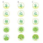 smoke-smoke (smoke-smoke)さんのキャンペーン用の植物型アイコン制作への提案