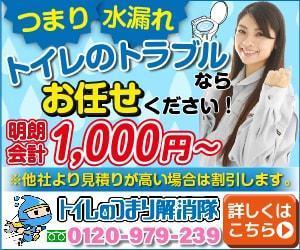 ozpro (ozpro)さんの水道修理業者のリスティング広告用バナー作成　（提案は１点）への提案
