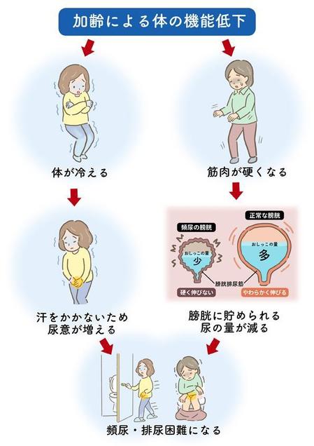 晴工房 (Lsan)さんの【イラスト作成】「頻尿」に関する説明図への提案