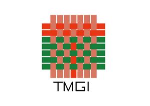 tora (tora_09)さんの【コンペ】新会社「TMGI Co., Ltd.」のロゴ制作【商標登録予定なし】への提案