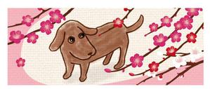 shie (shie)さんの犬のイラスト12点（カレンダー用）への提案